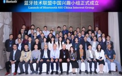 蓝牙技术联盟宣布成立中国兴趣小组:华为、高通、小米、vivo等参会!