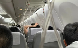 日航波音738上海飞东京途中故障：万米高空迅速下降 191人安全无恙！