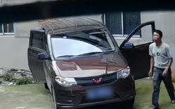 4只狗跑进五菱车内 “开车”撞墙后还有两声喇叭提醒!