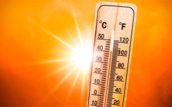 今年夏天热死蚊子 为何这么热：专家解释原因！
