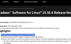 神秘中国特供！AMD确认新款专业显卡Radeon PRO W7900D！