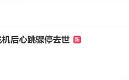 女子坐11小时飞机后心跳骤停：最终不幸去世!