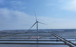 自主研制!全球最大26兆瓦级海上风电机组并网发电!