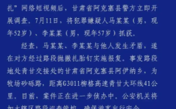 青甘大环线三车12胎被扎 两名嫌犯被抓！