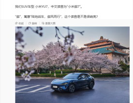 寓意“陆地战车、御风而行” 雷军：小米YU7读作“小米御7”!