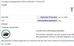 特朗普公司或进军手机市场 特朗普名字或成手机“招牌”!
