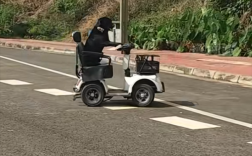 拉布拉多独自驾电动车上路被扣车 狗主人:它是网红 还在学叉车!