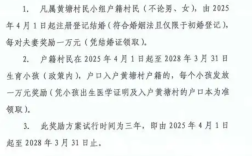 广东一村结婚奖1万 秒到账！