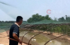 全国体感超45℃区域达到最大！河南网友：养鹅十多年头一次见鹅热死在水里!