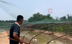 全国体感超45℃区域达到最大！河南网友：养鹅十多年头一次见鹅热死在水里!