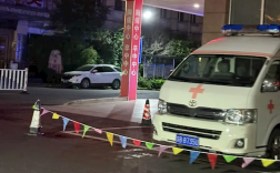 江苏一女子半夜上厕所 马桶里窜出一条蛇顶到屁股!