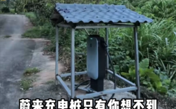 蔚来车主在山沟里安了一根充电桩 免费共享！网友：真新时代赛博土地庙！