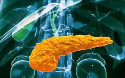 糖尿病突破！科学家成功3D打印全功能人类胰岛!