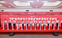 武汉大学成立集成电路学院：攻坚EDA工具、高端芯片等核心技术！