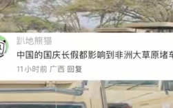 中国人国庆放假 东非大草原都堵车了 网友：聚是一栋楼 散是满地球！