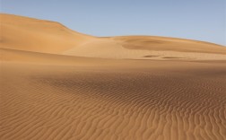 甘肃敦煌上演“堵骆驼” 网友：告诉王维 西出阳关全是人！