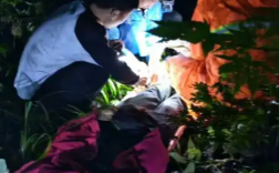 男子捡菌子 一抬头黑熊呲牙站面前 二十多位村民冒雨救援!