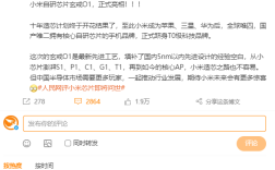 小米成全球唯四、国产唯二有核心自研芯片手机品牌：填补国内5nm内空白！