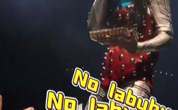 粉丝送Labubu却被水果姐打飞 演唱会大喊“No Labubu”！