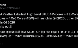 Intel Panther Lake首发版本曝光！其它等明年！