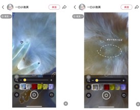 网友发现iPhone能检查虫子 苹果回应：放大器无此功能！