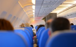 美国达美航空一客机紧急降落 罪魁祸首为乘客电池起火!