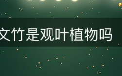 文竹是观叶植物吗