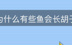 为什么有些鱼会长胡子