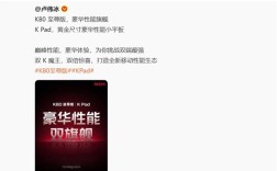 REDMI双K魔王来袭 卢伟冰：竞争力非常强！