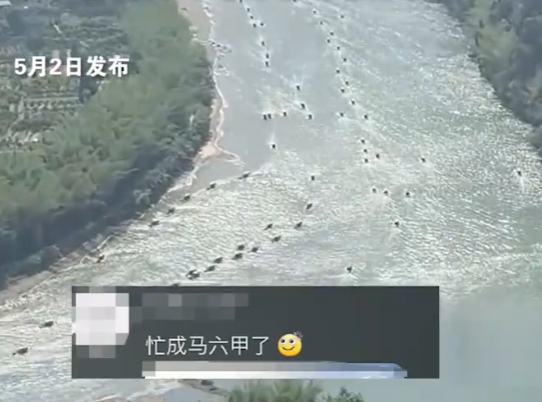 五一的桂林快忙成马六甲了 场面堪比周瑜调集东吴水军!-图1