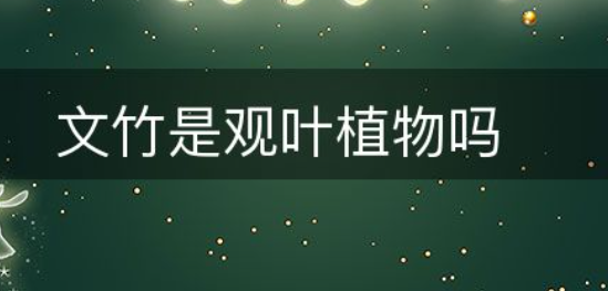 文竹是观叶植物吗-图1