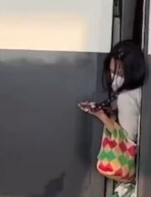 高铁启动女乘客突然冲出被门夹住 警方：她自称上错了车！-图1