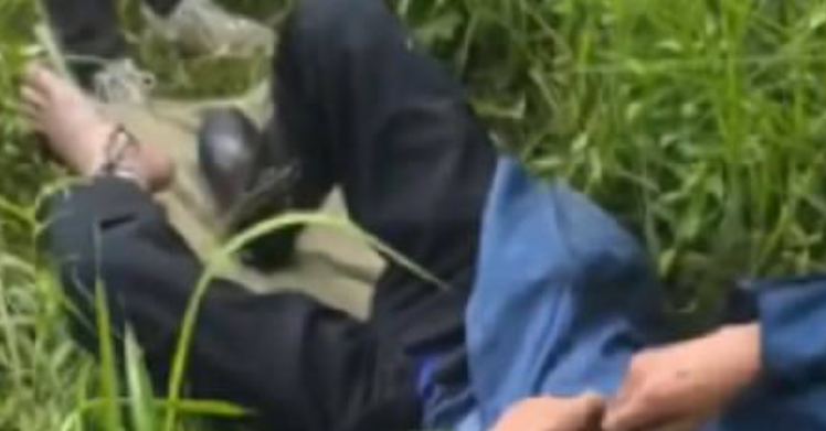 老人被五步蛇咬伤打16支血清保住脚趾！-图1