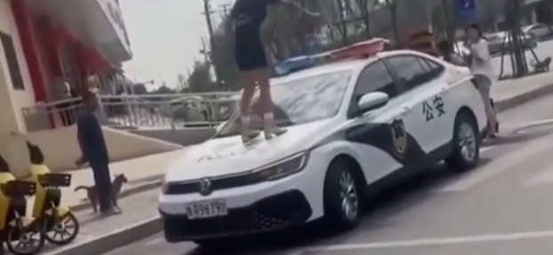 女网红违停并跳上警车被行拘 到底怎么回事-图1