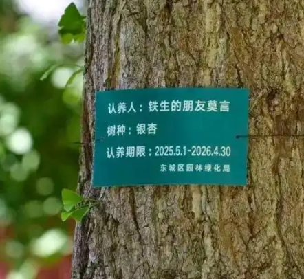 莫言真的在地坛认养了一棵银杏树！-图1