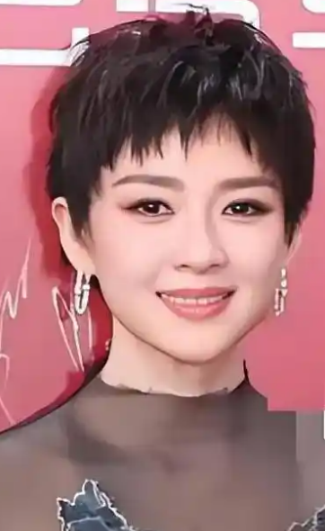 《酱园弄》第一部《酱园弄·悬案》定档6月21日！章子怡回应短发造型！-图1