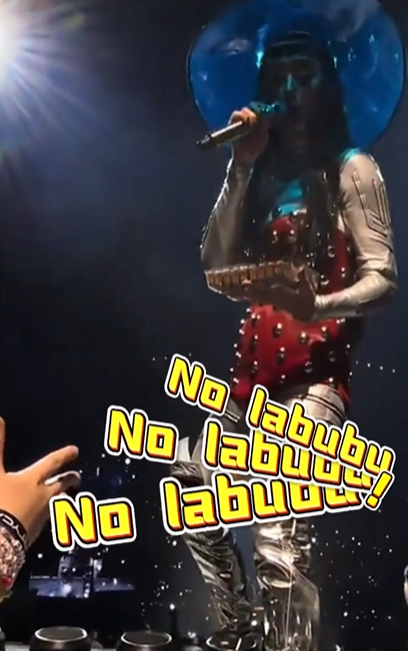 粉丝送Labubu却被水果姐打飞 演唱会大喊“No Labubu”！-图1